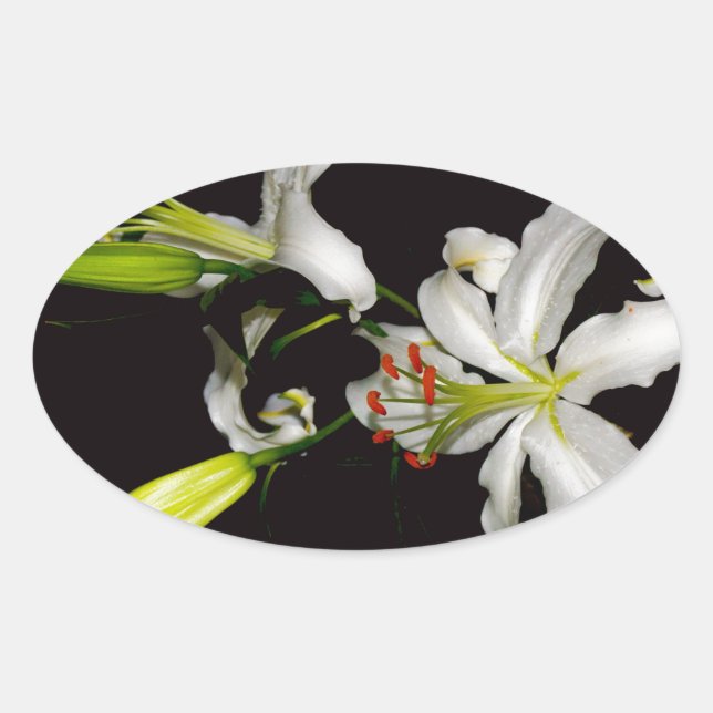 Irish Design- Brass and Flower Collection Oval Sticker (Front)