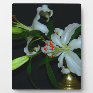 Irish Design-Brass and Flower Collection Plaque