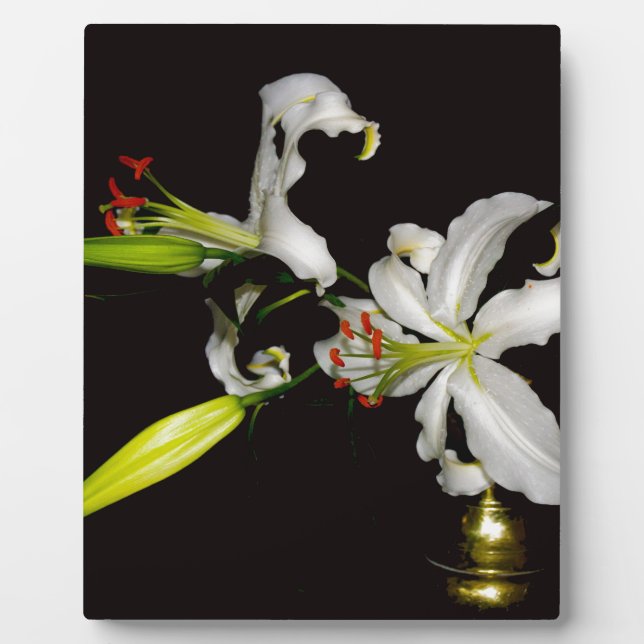 Irish Design- Brass and Flower Collection Plaque (Front)