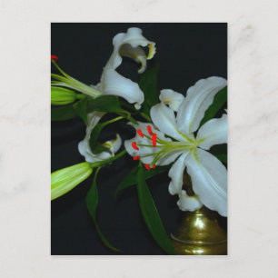 Irish Design-Brass and Flower Collection Postcard