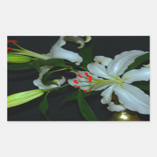 Irish Design-Brass and Flower Collection Rectangular Sticker