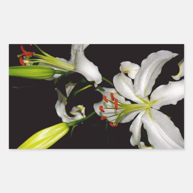 Irish Design- Brass and Flower Collection Rectangular Sticker (Front)