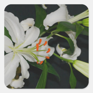 Irish Design-Brass and Flower Collection Square Sticker