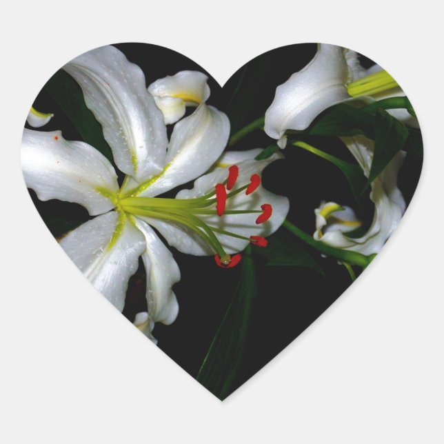 Irish Design-Brass and Flower Design Heart Sticker (Front)