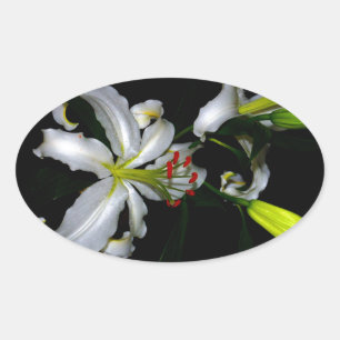 Irish Design-Brass and Flower Design Oval Sticker