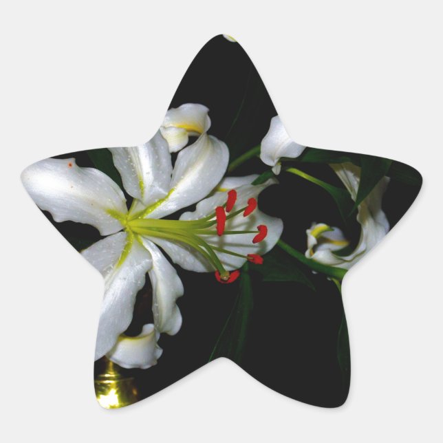 Irish Design-Brass and Flower Design Star Sticker (Front)