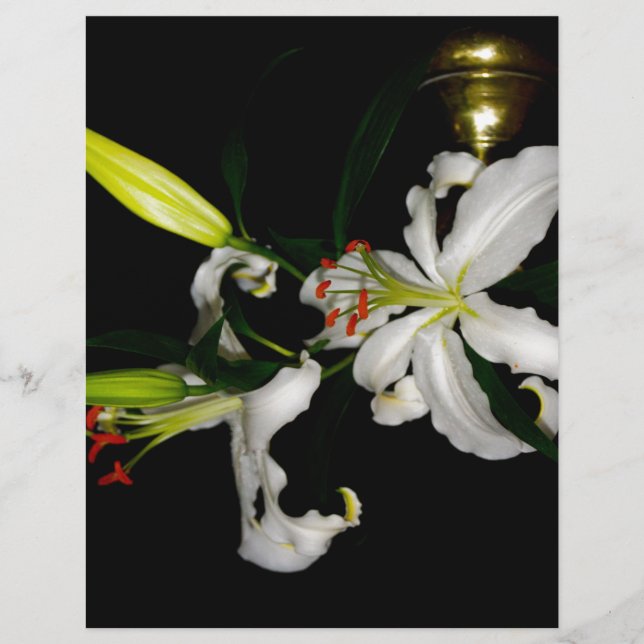 Irish Design-The Flower Collection (Front)