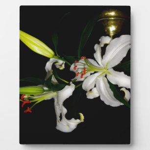 Irish Design-The Flower Collection Plaque