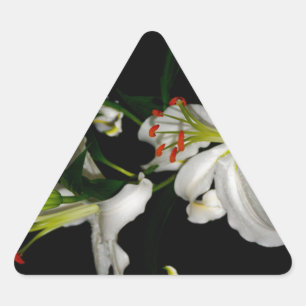 Irish Design-The Flower Collection Triangle Sticker