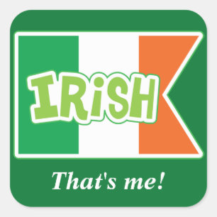 Irish Flag Me Sticker
