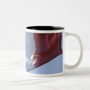 Irish Flag Two-Tone Coffee Mug
