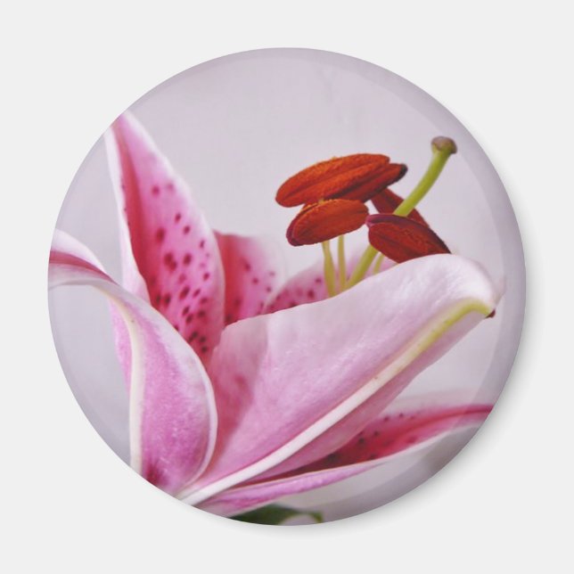 Irish Floral Magnet (Front)