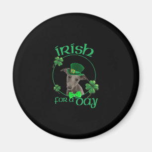 Irish For A Day Whippet Lucky Dog In Patrick Day T Magnet