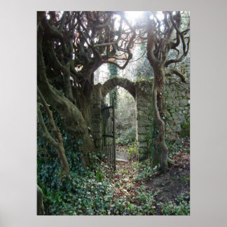 Irish Garden Gate Poster