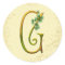 Irish Gold Monogram G