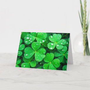 Irish Good Luck Four-Leaf Clovers Card