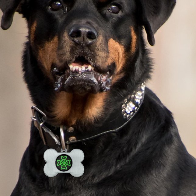 Irish Green Celtic Knot Pet Tag (Vibrant green Irish Celtic knot design on black on bone shaped pet tag.)
