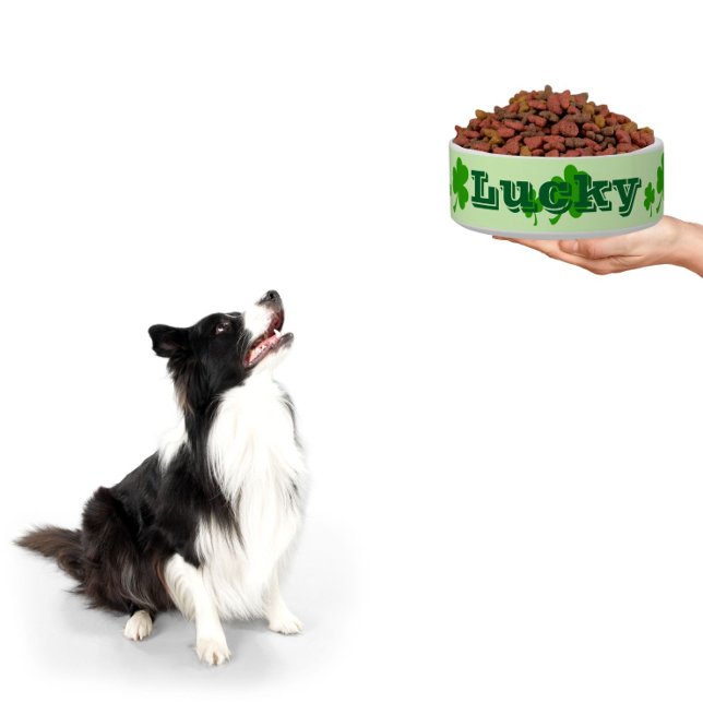 Irish green clover lucky shamrock pet bowl (One lucky dog! treat your pet with a personalized bowl)