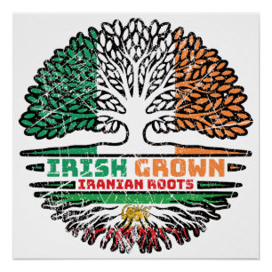 Irish Grown, Iranian Roots – Lion and Sun Poster