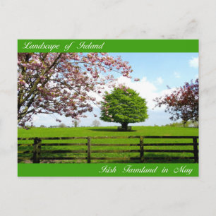 Irish Images for postcard