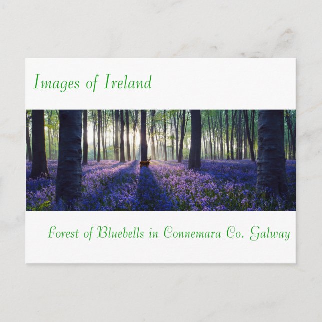 Irish Images for postcard (Front)