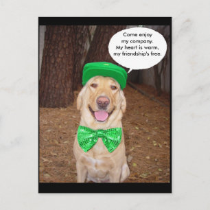 Irish Lab Saying Postcard