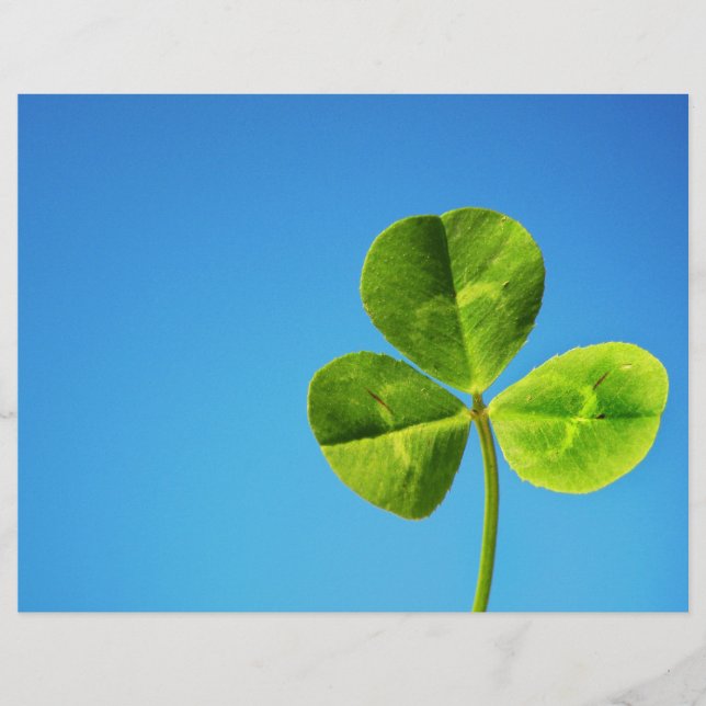 Irish luck flyer (Front)