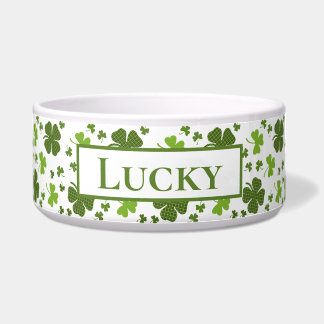 Irish Personalised Large Dog Bowl | Lucky