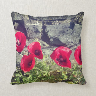 IRISH POPPY AND STONE WALL CUSHION