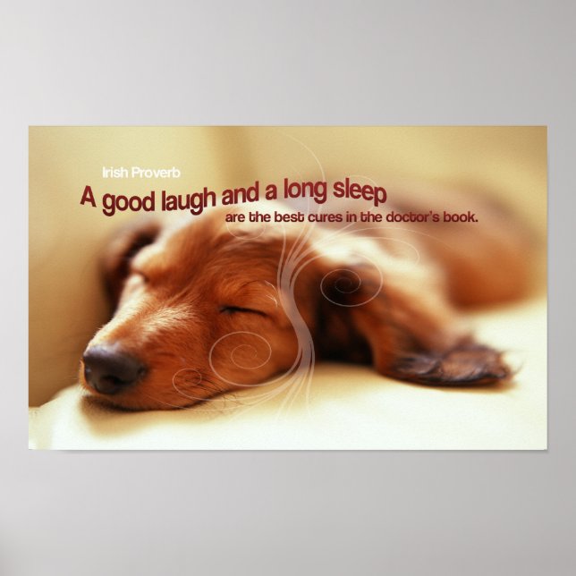 Irish Proverb Sleeping Dog Poster (Front)