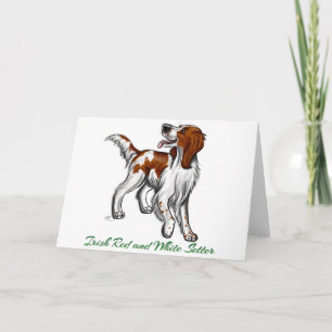Irish Red and White Setter Card