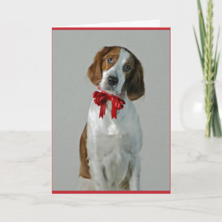 Irish Red and White Setter Cookies Holiday Card