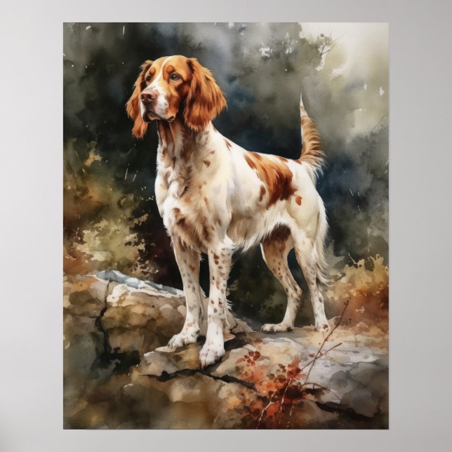 Irish Red And White Setter Dog Art Print Poster (Front)