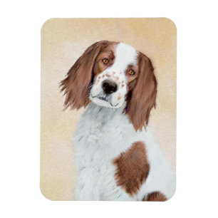 Irish Red and White Setter Painting - Original Art Magnet