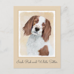 Irish Red and White Setter Painting - Original Art Postcard