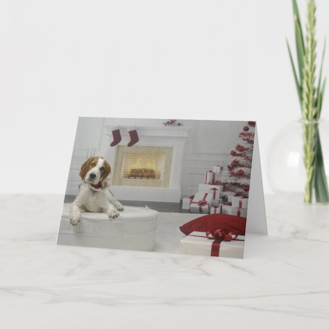 Irish Red and White Setter Puppy Holiday Card (Front)