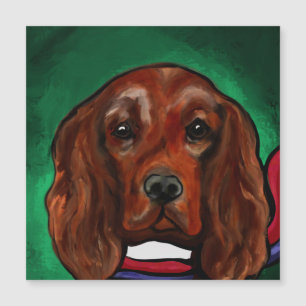 Irish Red Setter