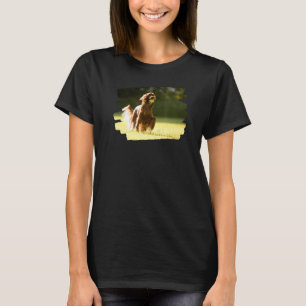 Irish Red Setter Dog   T-Shirt