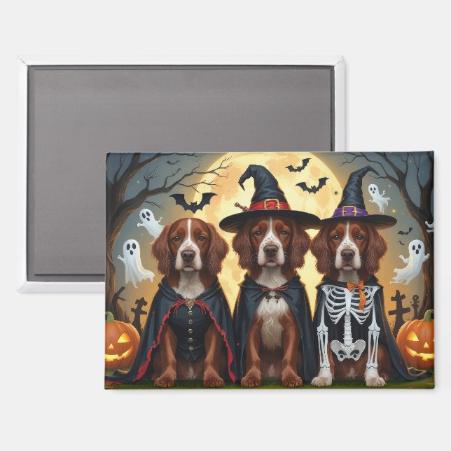 Irish Red Setter Dogs Pumpkin Halloween Funny Magnet (Front/Back)