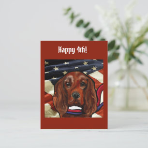 Irish Red Setter    Postcard