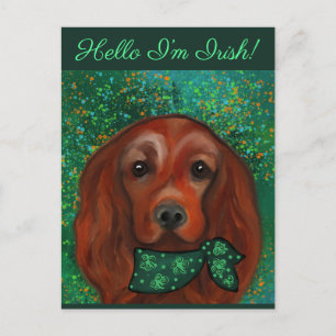 Irish Red Setter Postcard