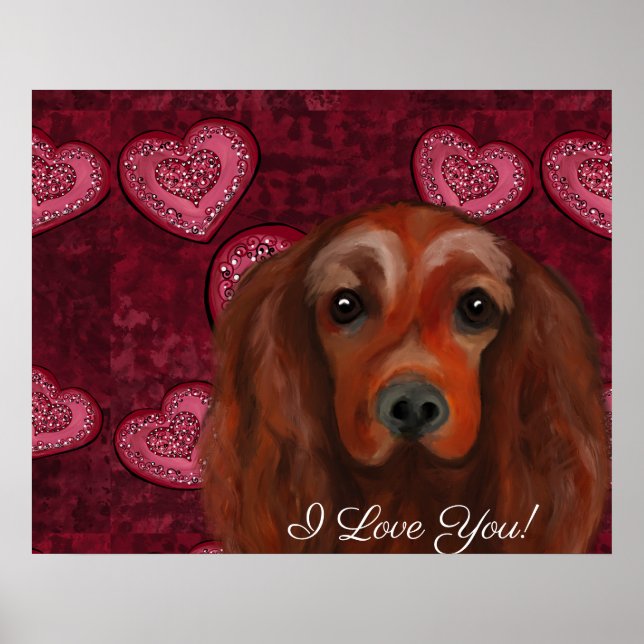 Irish Red Setter     Poster (Front)