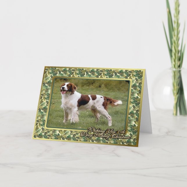 Irish Red & White Setter Dog Blank Christmas Card (Front)