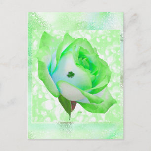 Irish rose and Anniversary! Card