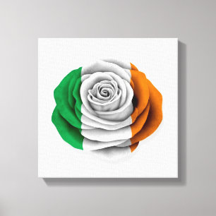 Irish Rose Flag on White Canvas Print