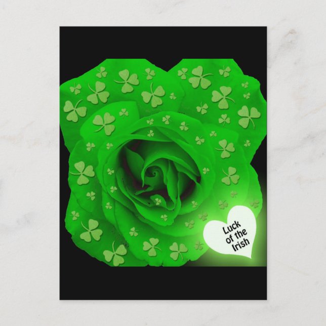 Irish Rose - Luck of the Irish Postcard (Front)