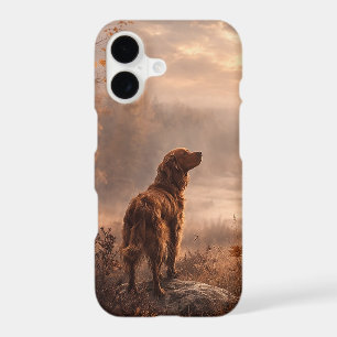 Irish Setter