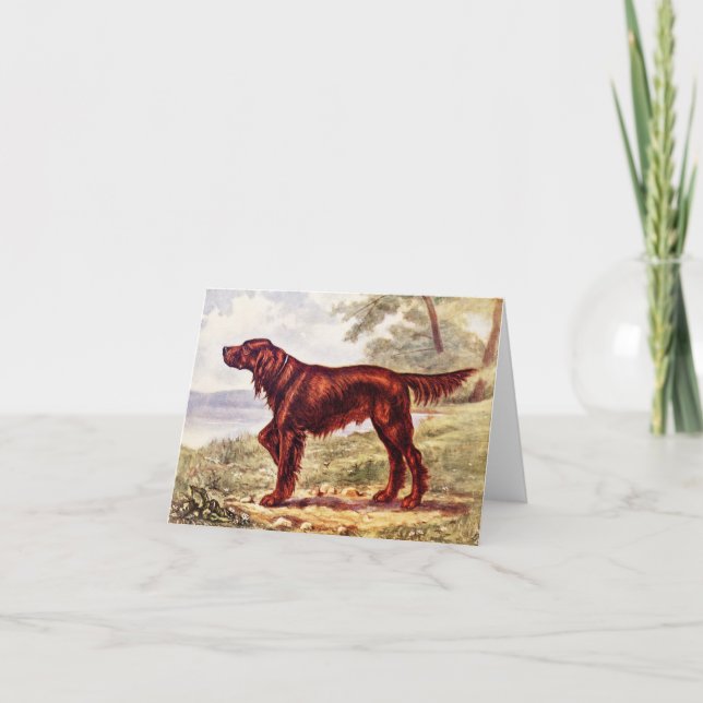 Irish Setter 1900 Illustration of Sporting Dog Card (Front)
