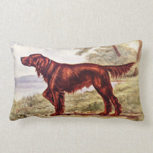 Irish Setter 1900 Illustration of Sporting Dog Lumbar Cushion