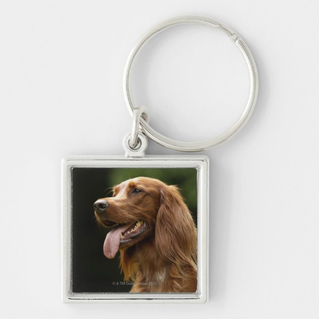 Irish Setter 2 Key Ring (Front)